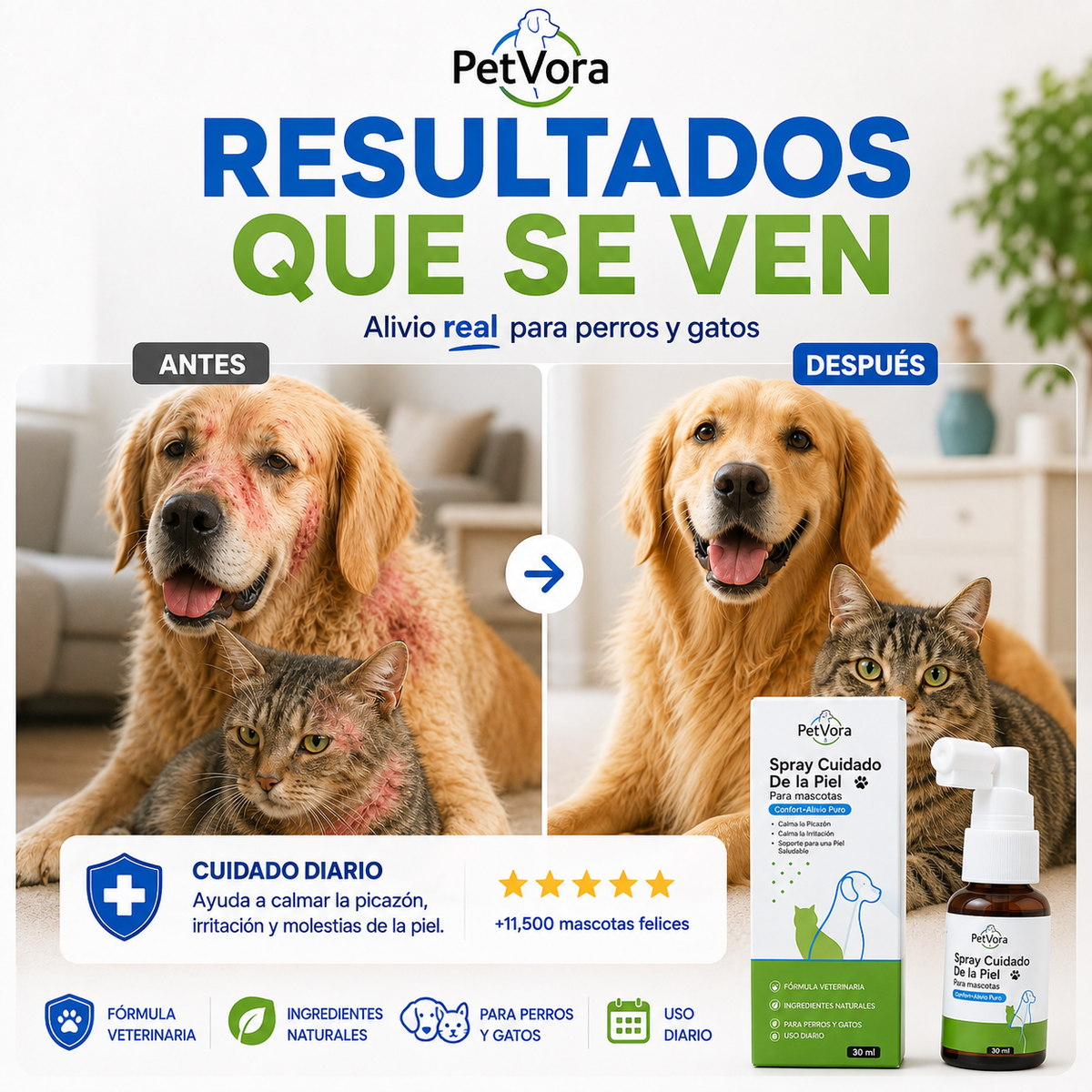 PetVora: apoyo diario para dermatitis y piel irritada