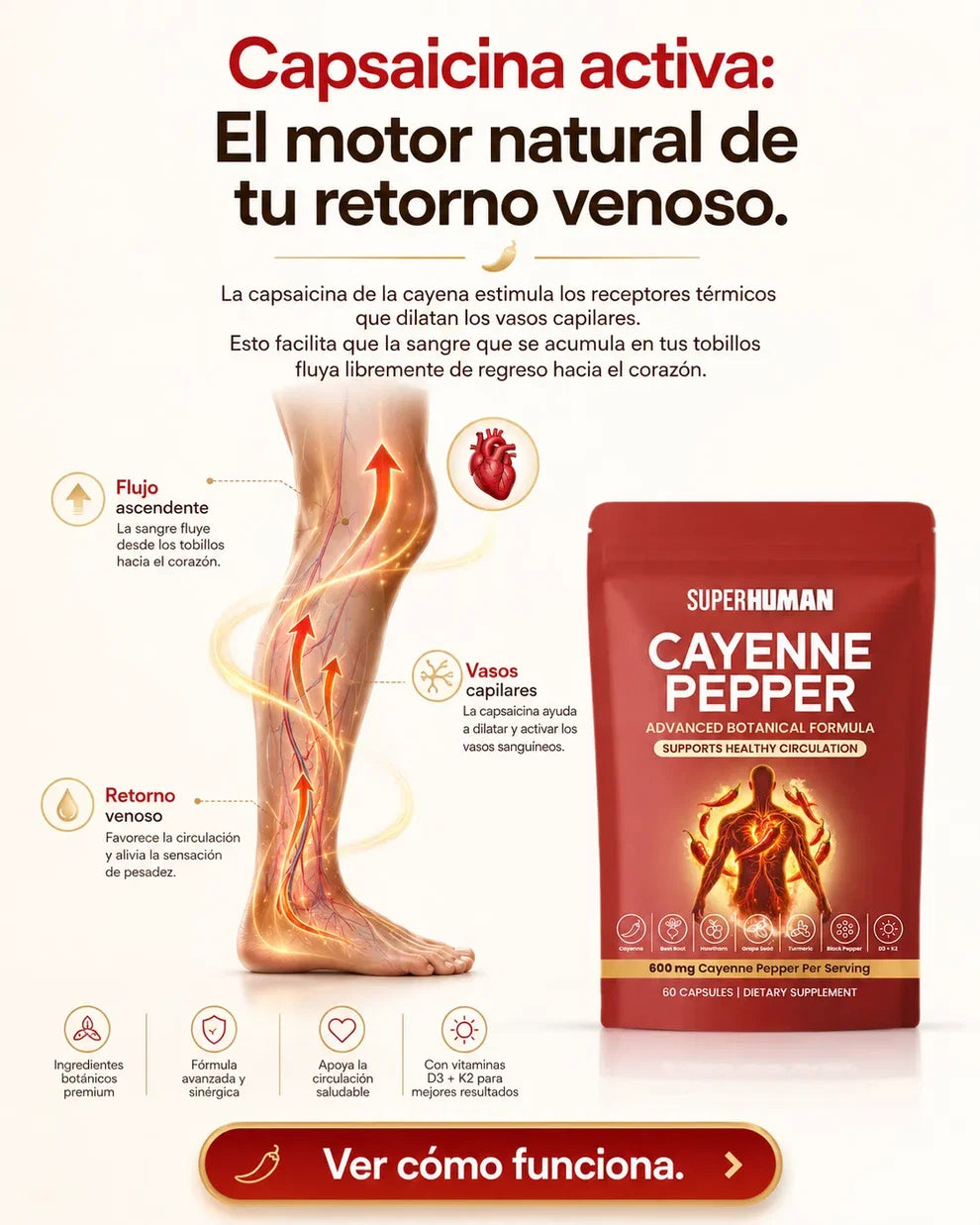 Cayenne Pepper – Suplemento Botánico para Circulación Saludable (60 Cápsulas)
